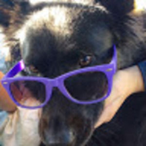 Meet your Posher, Virginia